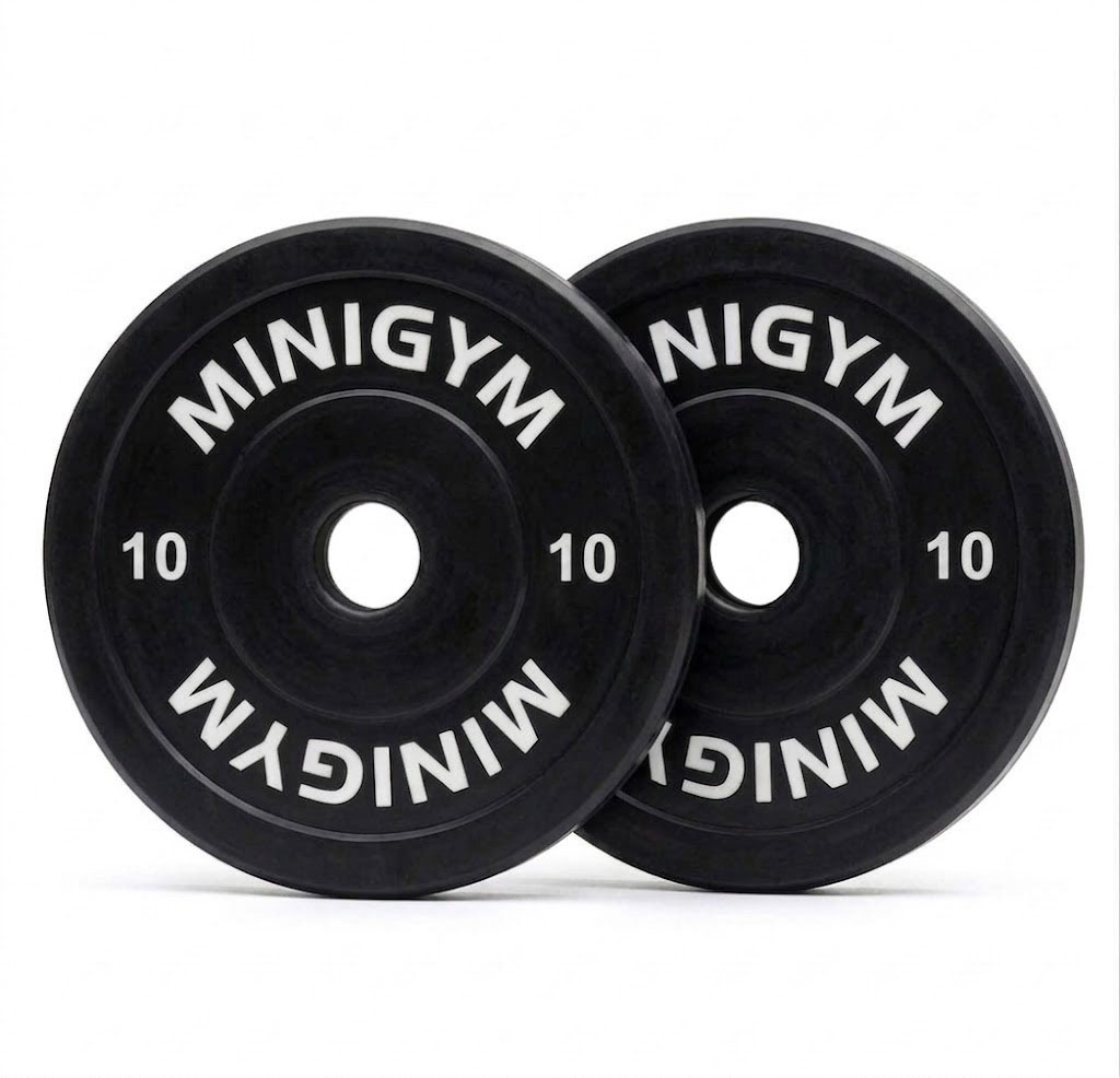 10lb Weight Plates Pair