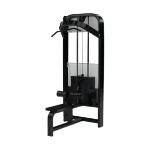 Lat Pulldown