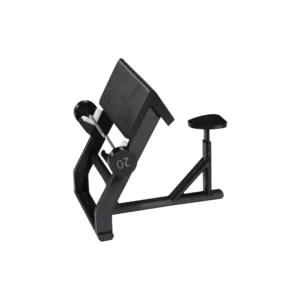 Preacher Curl Bench