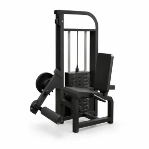 Seated Leg Extension