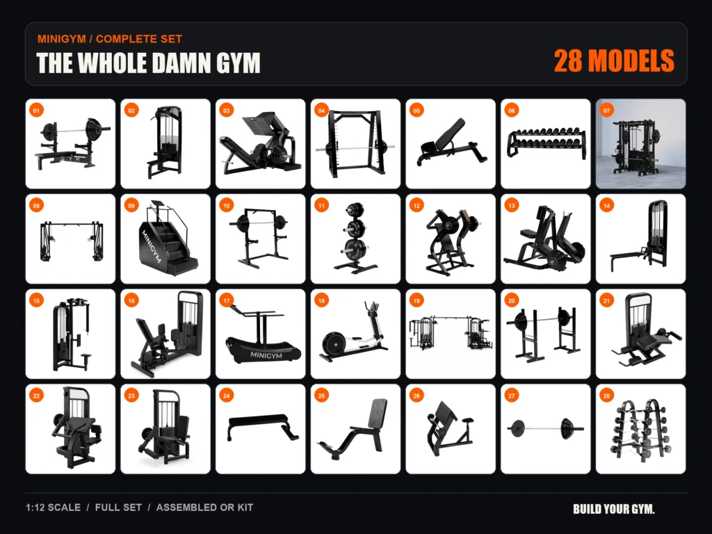 THE WHOLE DAMN GYM